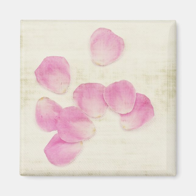 "Waiting" Pink Roses Magnet (Front)