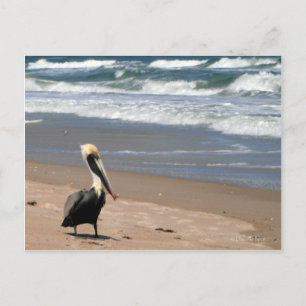 Waiting Postcard