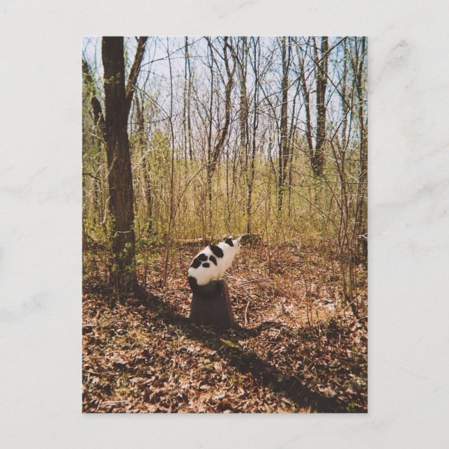 waiting... postcard (Front)