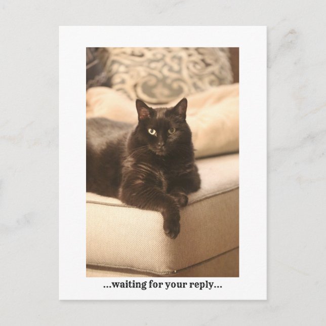 ...waiting...postcard holiday postcard (Front)