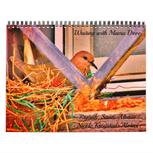 Waiting with Mama Dove Calendar