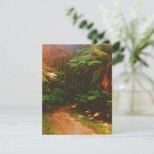 Wakawakareva Forest ( The Redwoods), Rotorua, NZ  RSVP Card