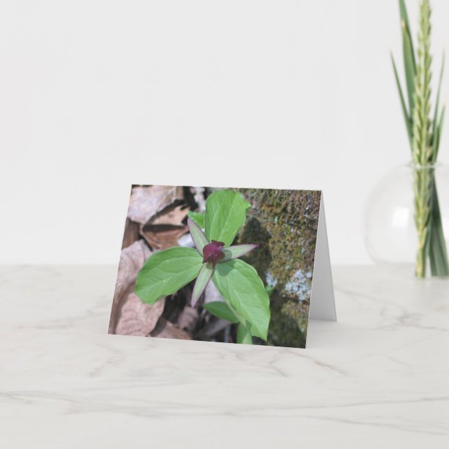 Wake Robin - Customised Card (Front)