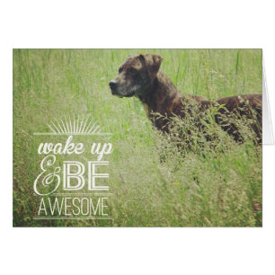 Wake up and be Awesome Dog