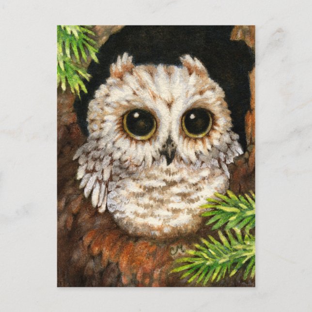 Wake Up, Little Owl - Cute Bird Art Postcard (Front)