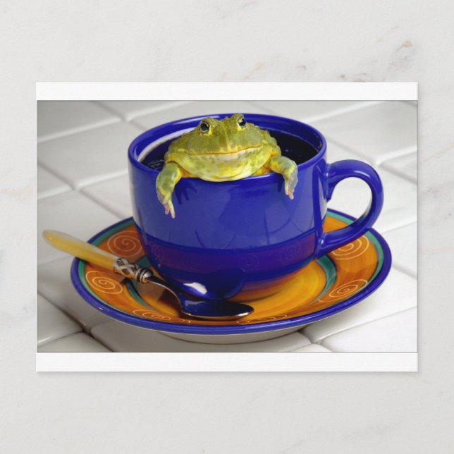 Wake up! postcard (Front)