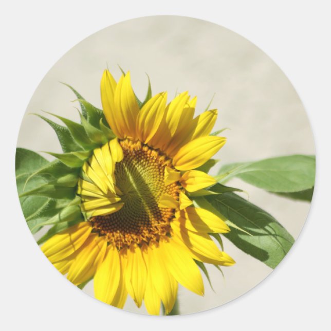 Wakeup Call sticker (Front)