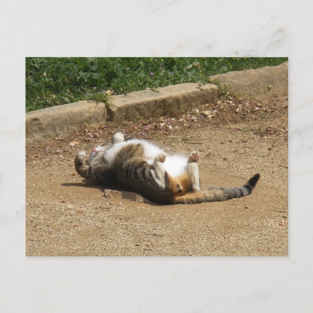 Waking Up Postcard (Front)