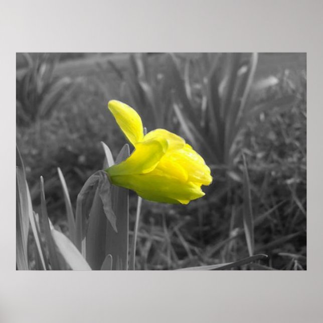 Waking Up Poster (Front)