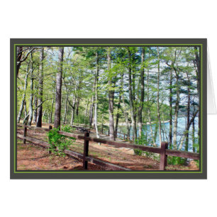 Walden Pond: