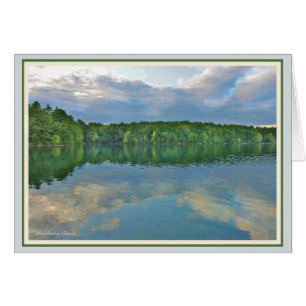 *Walden Pond:Bluebird carries the sky on his back.