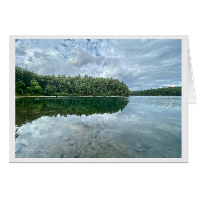 *Walden Pond:Bluebird carries the sky on his back. (Front Horizontal)