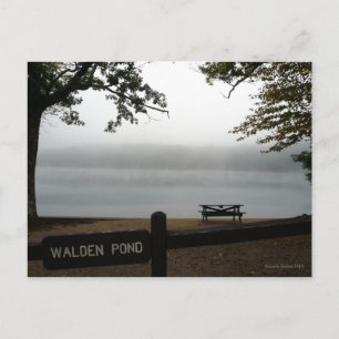 Walden Pond contemplative post card