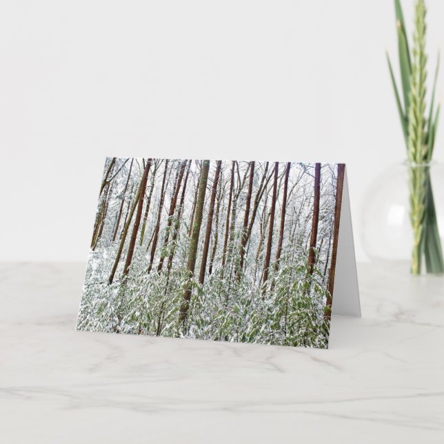 *Walden Pond: Holiday- Silence- A-Universal Refuge Holiday Card (Front)