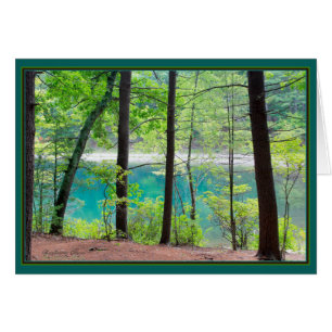 Walden Pond: Ice Fort Cove