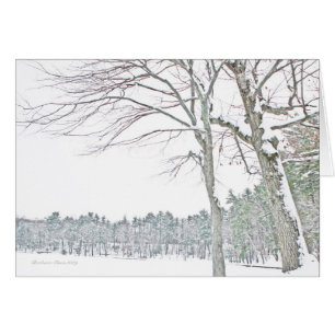 Walden Pond: In Zen