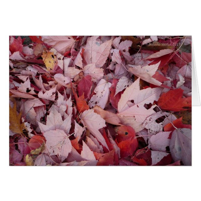 Walden Pond Leaves (Front Horizontal)