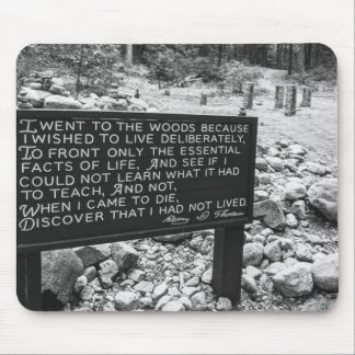 Walden Pond mouse pad