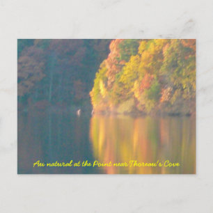 Walden Pond post card
