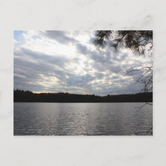 Walden Pond Postcard
