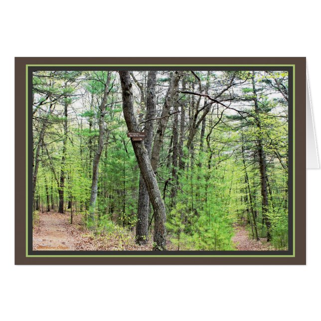 Walden Pond: Sauntering thru the woods (Front Horizontal)