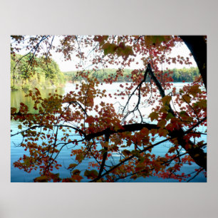 Walden Pond through Autumn Leaves Poster