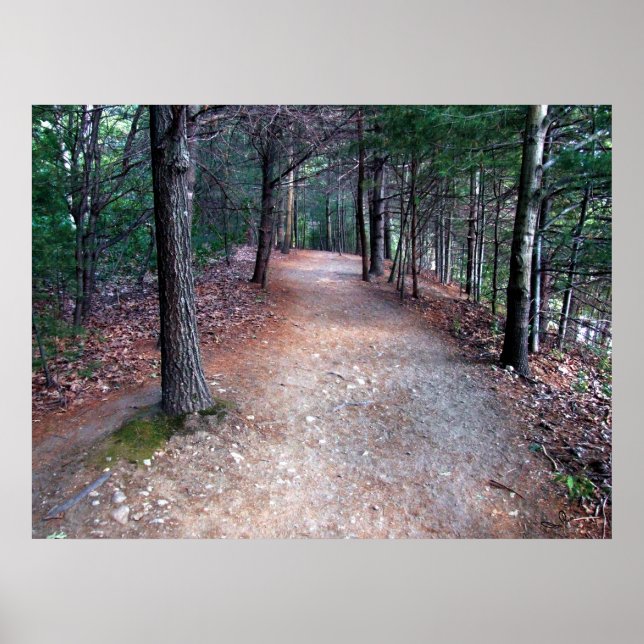 Walden Pond Trail Print (Front)