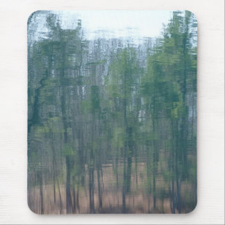 Walden Reflection 1 Mouse Mat