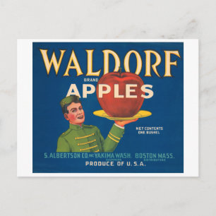 Waldorf Brand Apples Vintage Crate Label Postcard