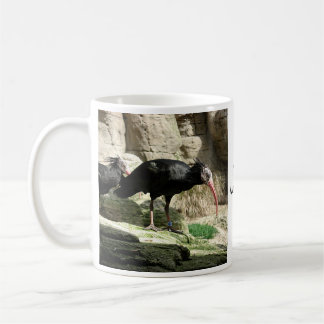 Waldrapp ibis Black Feathered Bird Mug