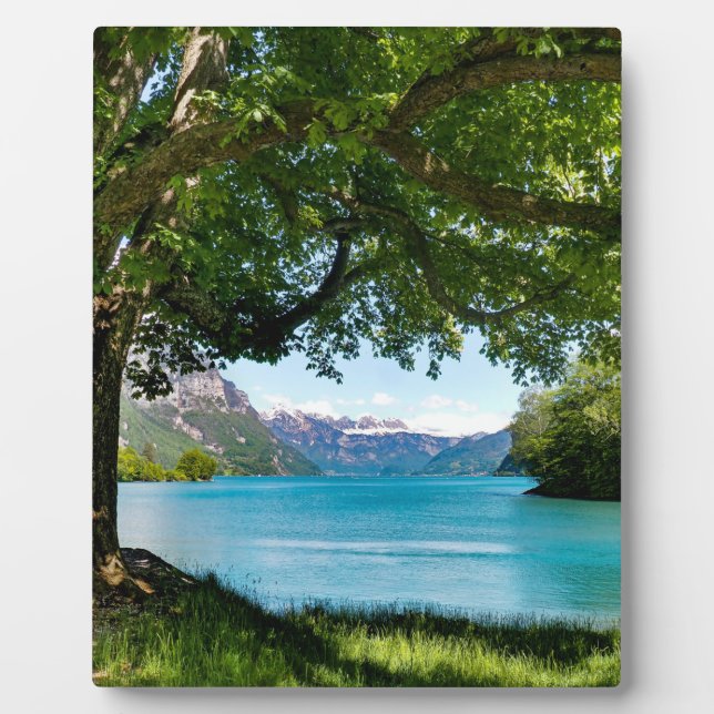 Walensee Switzerland  Plaque (Front)