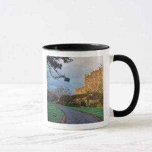 Wales - A private welsh castle near St. Mug