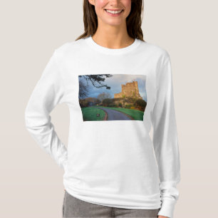 Wales - A private welsh castle near St. T-Shirt