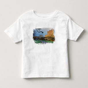 Wales - A private welsh castle near St. Toddler T-Shirt