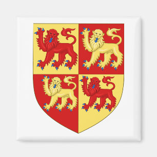 Wales Coat of Arms Magnet