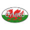 Wales CYMRU Euro Sticker