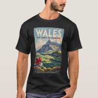 Wales Dragon Illustration Travel Art Vintage