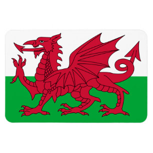 Wales Flag Magnet