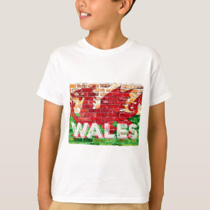 Wales Flag on Brick T-Shirt