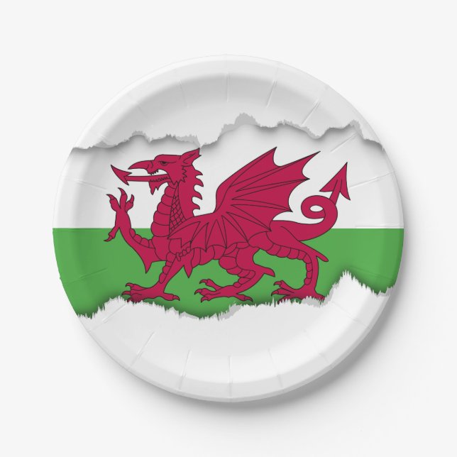 Wales Flag Paper Plate (Front)