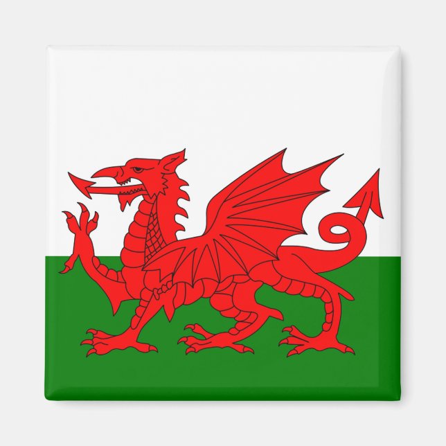  Wales flag Welsh red dragon Magnet (Front)