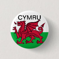 Wales Flag World Cup 2022 Red dragon Cymru