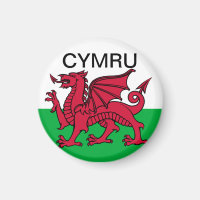 Wales Flag World Cup 2022 Red dragon Cymru 
