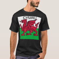 Wales Flag World Cup 2022 Red dragon Cymru