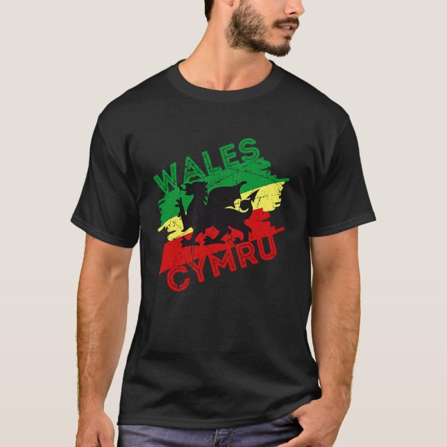 Wales  for men women kids St David's Day Welsh Dra T-Shirt (Front)