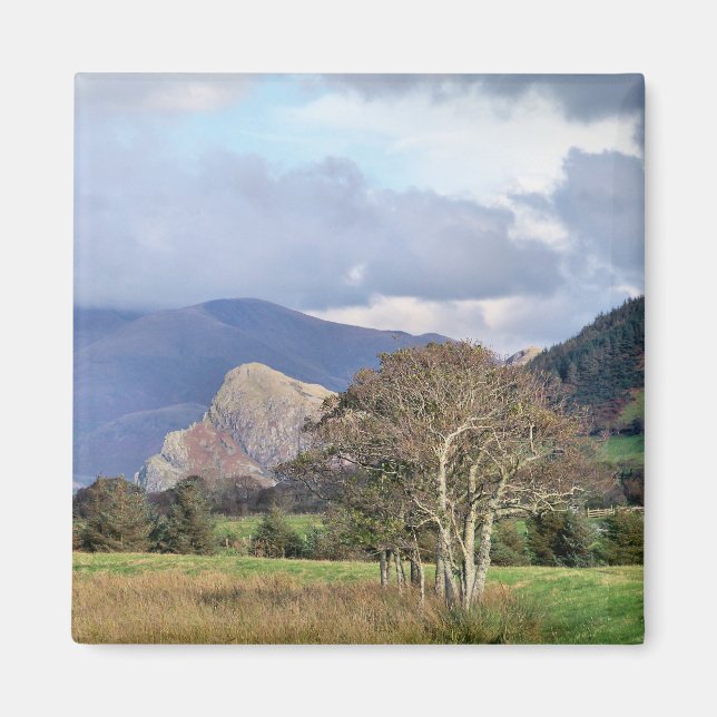 WALES MAGNET (Front)