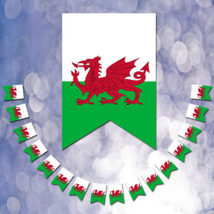 Wales Party Banners, Welsh Flag / Cymru Weddings
