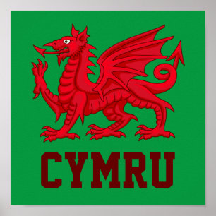 Wales Red Dragon - Green Backdrop Poster
