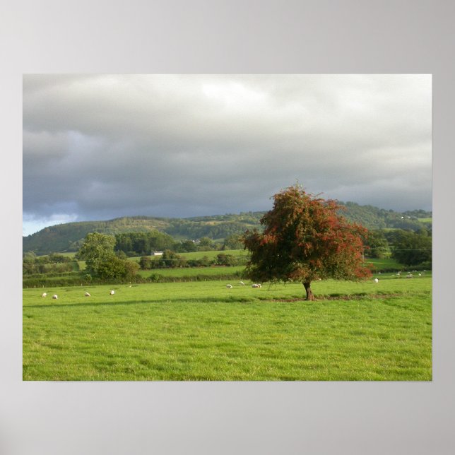 Wales Tree Poster (Front)