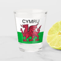 Wales Welsh Red dragon Cymru Flag Travel